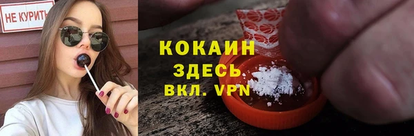 2c-b Пестово
