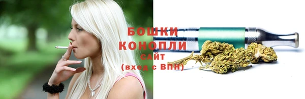 винт Переславль-Залесский