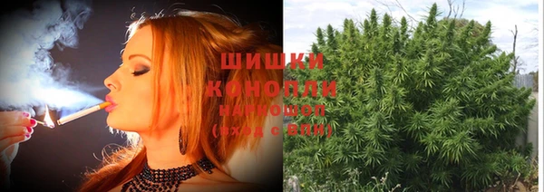 mdpv Пересвет